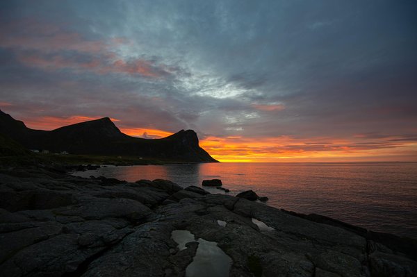 Comment organiser une visite des jardins botaniques royaux de Kew, Royaume-Uni : conseils et périodes ?